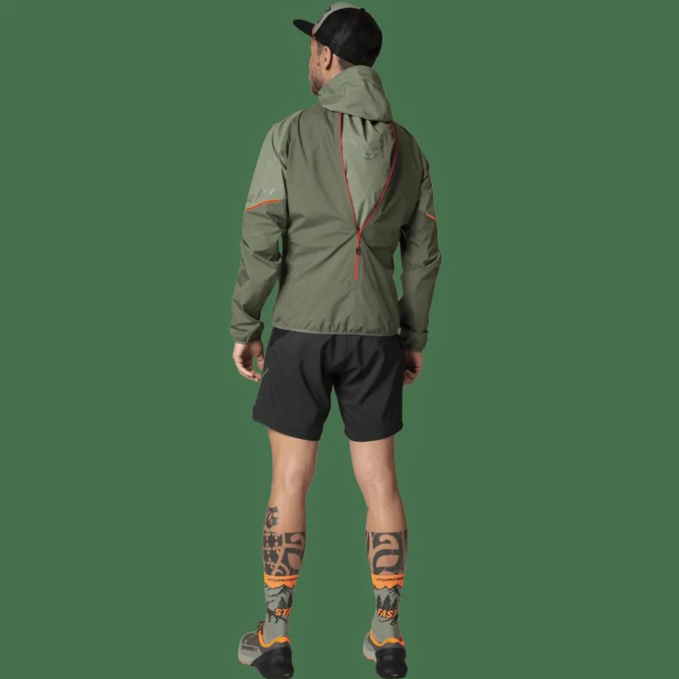 Alpine GORE-TEX Jacke Herren